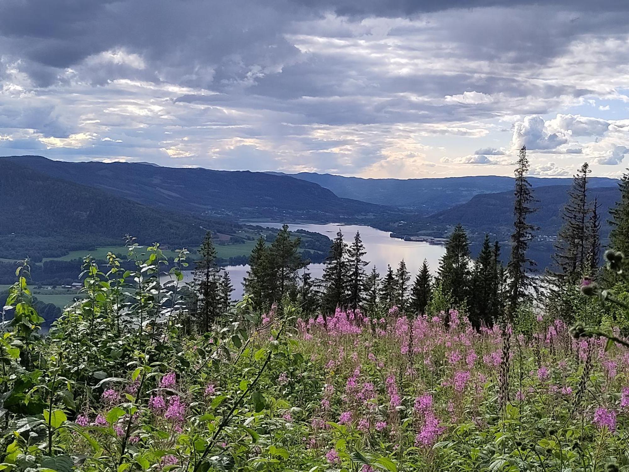 Готель Granum Gard Fluberg Екстер'єр фото